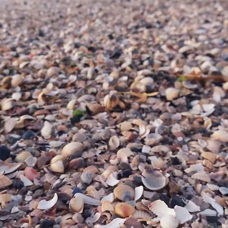 Ulfershausen Appartamento