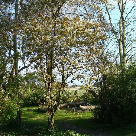 Ulfershausen Apartment *